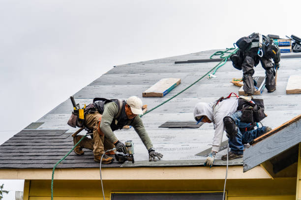 Professional Emergency Roof Repair technician working in Dresden, NY